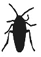 cucaracha