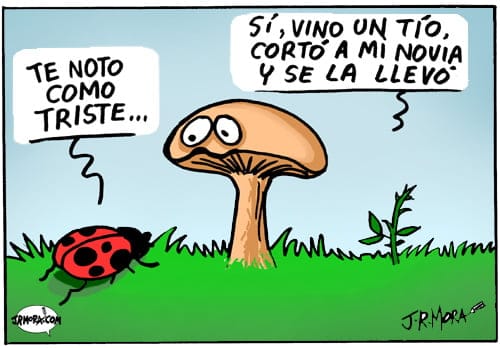 Chorradas de colores Chorradas de colores