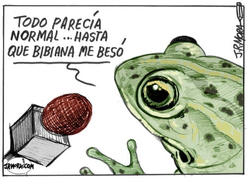 Paridas y paridades Paridas y paridades