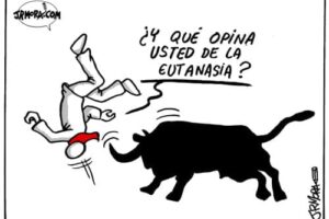 Toda una vida