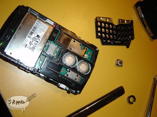 blackberry-uvi-2 Al borde de la muerte