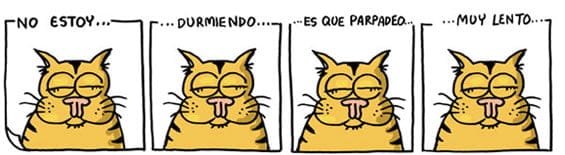 moqui40 moqui40