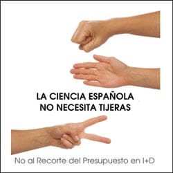 Llamamiento