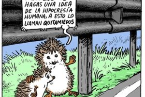 Calendario GREFA