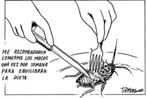 Comer insectos