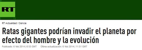 Rey de las ratas Rey de las ratas