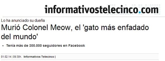 Informagatitos Telecinco