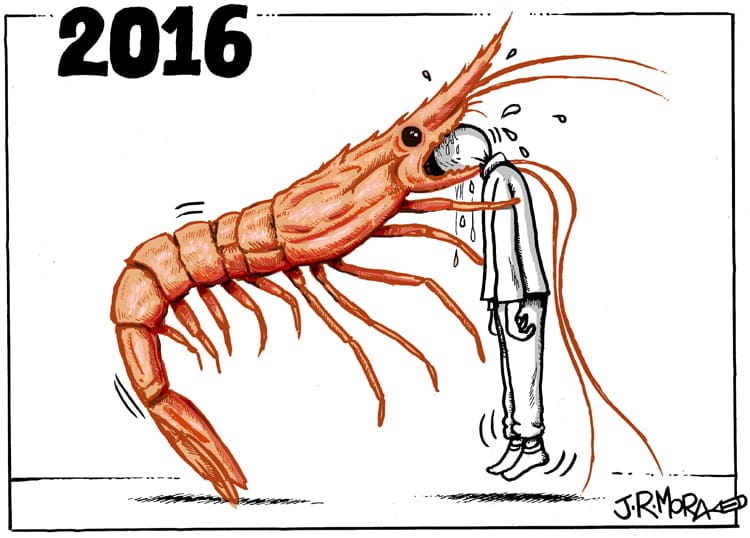 Resumen 2016 Resumen 2016