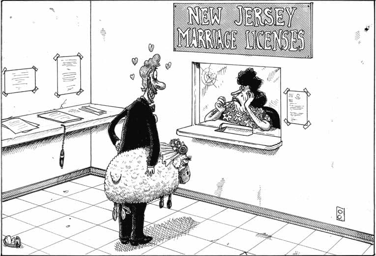 Newspaper apologises for cartoon portraying dreamers as criminals 2