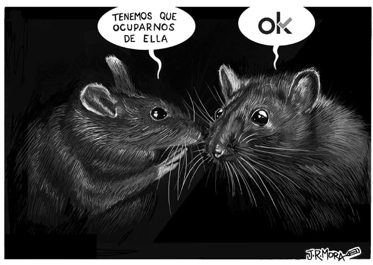 Cristina Cifuentes dimite Cristina Cifuentes dimite