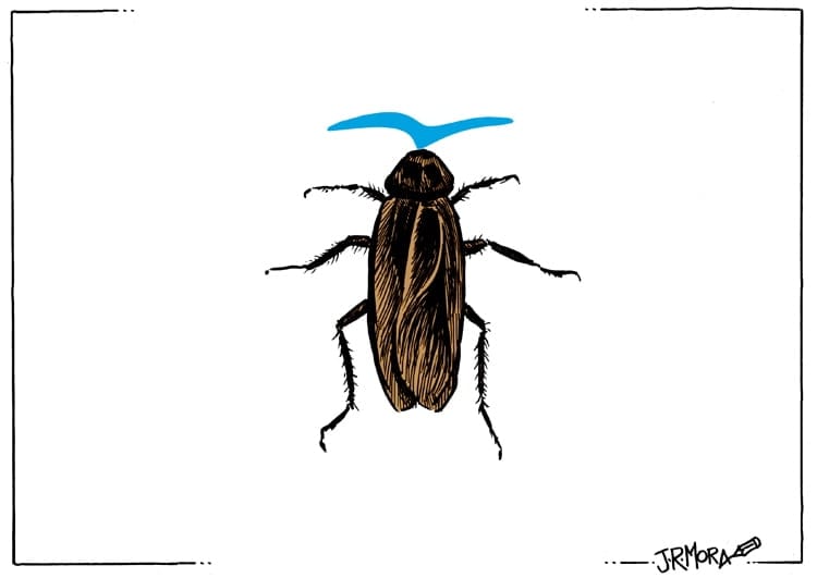 El lenguaje de los insectos El lenguaje de los insectos