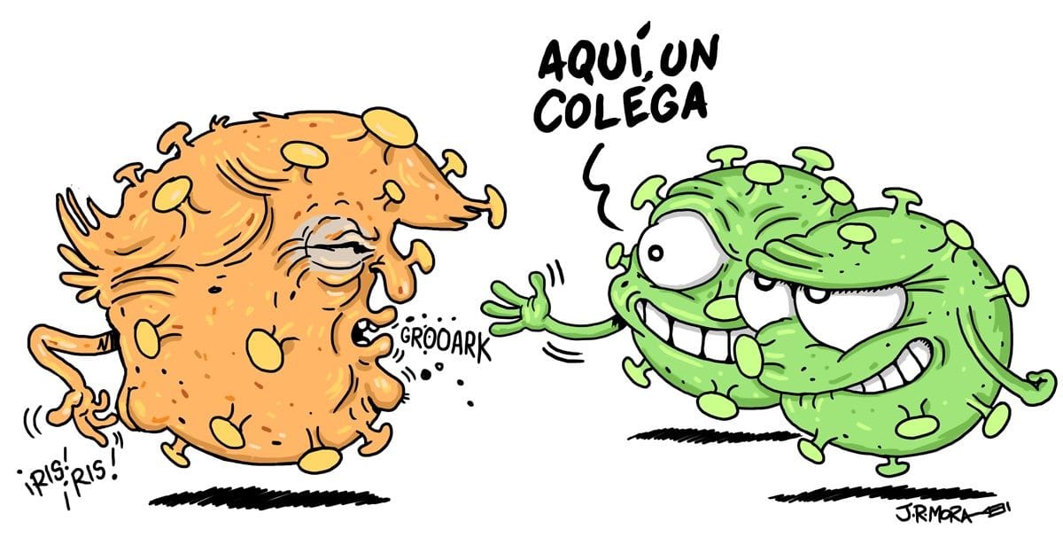 Donald Trump y Melania, positivo por coronavirus 2