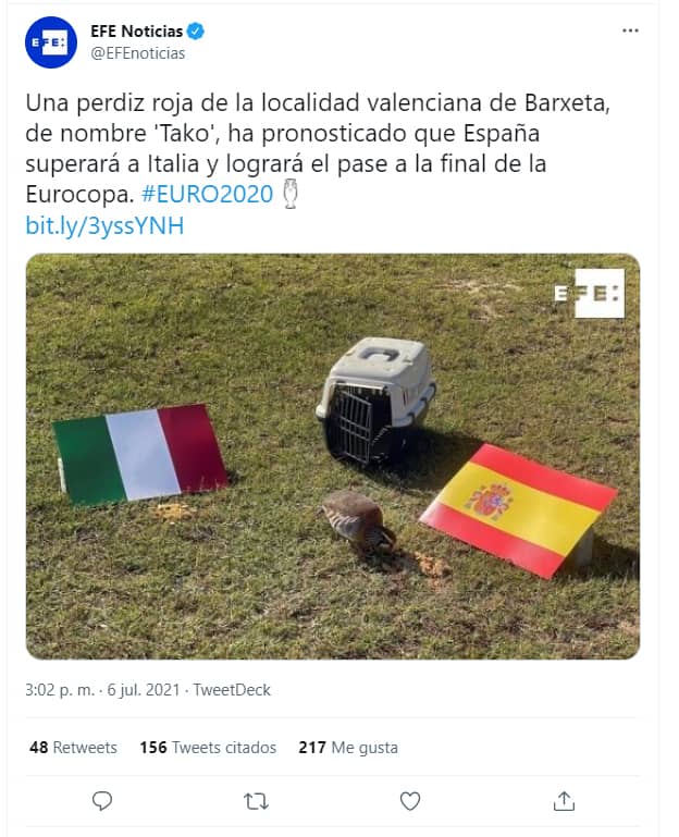 La agencia EFE traslada su sede central a un zoológico La agencia EFE traslada su sede central a un zoológico