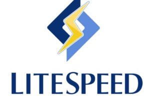 Preajustes estándar de LiteSpeed Cache