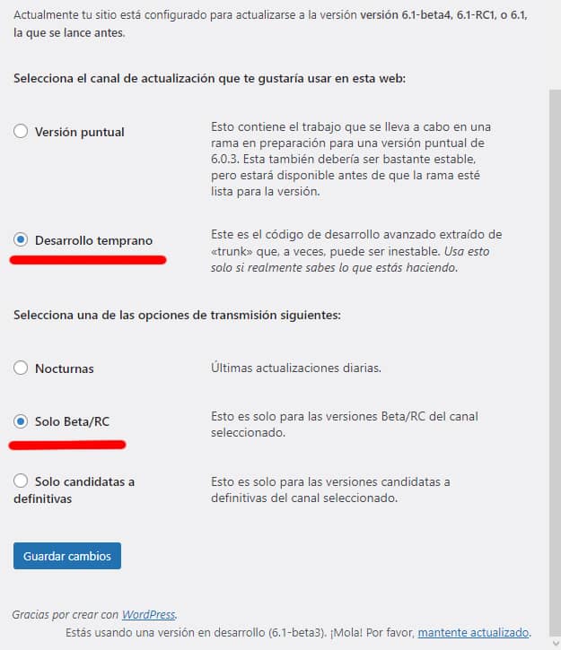 WordPress 6.1 contiene una "gran mejora del rendimiento de la base de datos" 1