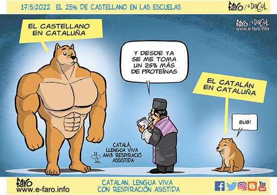 faro-inmersion ¿Por qué Faro ya no publica en el Diari de Tarragona? 1