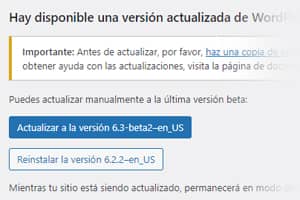 Mejoras en el rendimiento de WordPress 6.3
