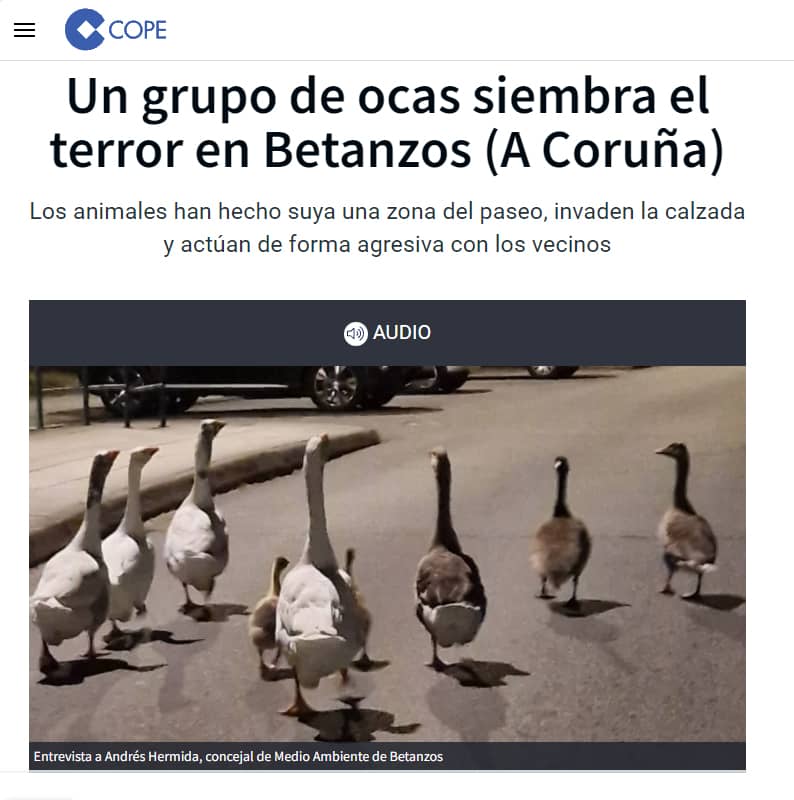 Un grupo de periodistas siembra el terror en internet 1